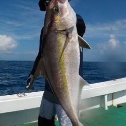 明日丸 釣果