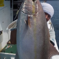 明日丸 釣果