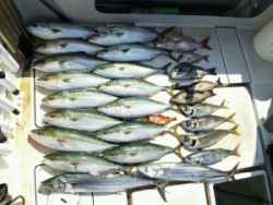 さぶろう丸 釣果