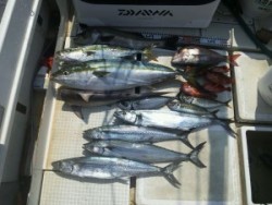 さぶろう丸 釣果