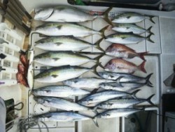 さぶろう丸 釣果