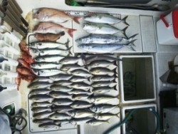 さぶろう丸 釣果