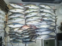 さぶろう丸 釣果