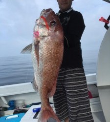 LUZ PLAYA ルスプラージャ 釣果