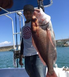 LUZ PLAYA ルスプラージャ 釣果