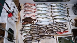 さぶろう丸 釣果