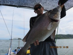 第一あさかぜ 釣果
