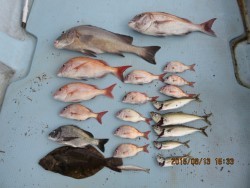 第一あさかぜ 釣果