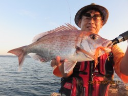 長崎大村湾　第一あさかぜ 釣果