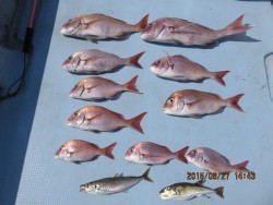 長崎大村湾　第一あさかぜ 釣果