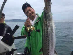 シーマジカル 釣果