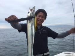 シーマジカル 釣果