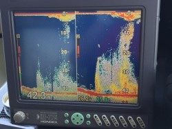 オーシャンキッズ 釣果