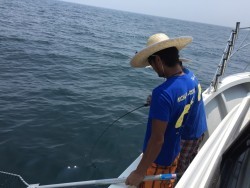 オーシャンキッズ 釣果