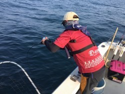 オーシャンキッズ 釣果