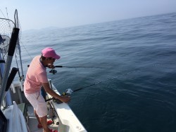 オーシャンキッズ 釣果