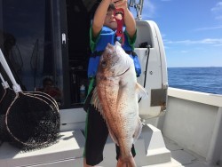 オーシャンキッズ 釣果