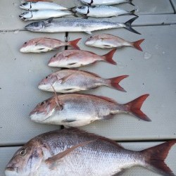 オーシャンキッズ 釣果