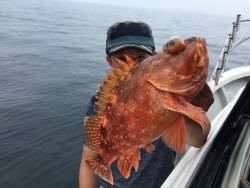 オーシャンキッズ 釣果