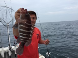 オーシャンキッズ 釣果