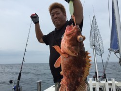 オーシャンキッズ 釣果