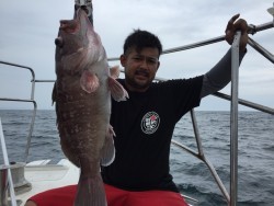 オーシャンキッズ 釣果