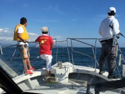 オーシャンキッズ 釣果