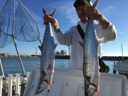 オーシャンキッズ 釣果