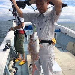 リトルワン 釣果