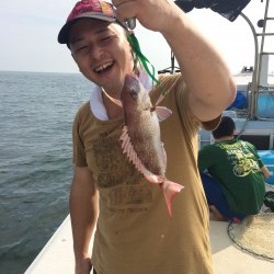 リトルワン 釣果