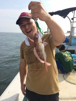 リトルワン 釣果