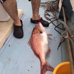 リトルワン 釣果