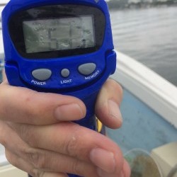 リトルワン 釣果