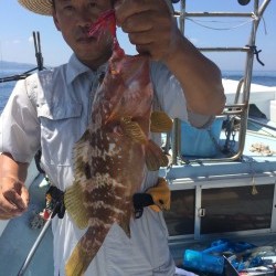 リトルワン 釣果