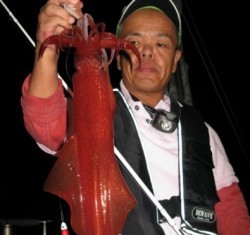 Aquanaut(アクアノート) 釣果