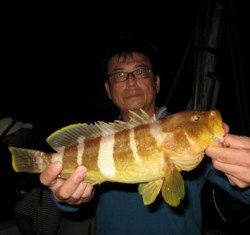 Aquanaut(アクアノート) 釣果