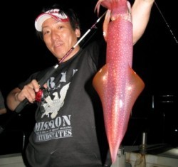 Aquanaut（アクアノート） 釣果