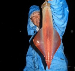 Aquanaut（アクアノート） 釣果