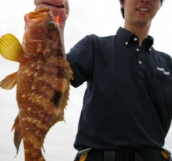 Aquanaut（アクアノート） 釣果