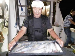 ハピネスⅡ 釣果