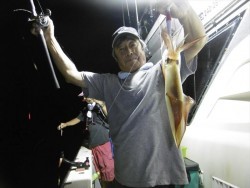 ハピネスⅡ 釣果