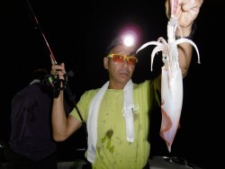 ハピネスⅡ 釣果