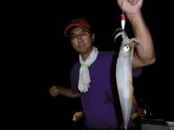 ハピネスⅡ 釣果