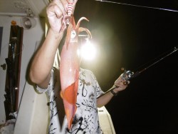 ハピネスⅡ 釣果