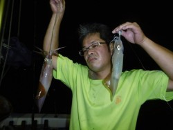 ハピネスⅡ 釣果