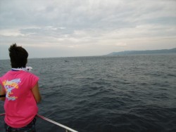 ハピネスⅡ 釣果