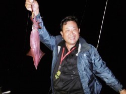 ハピネスⅡ 釣果