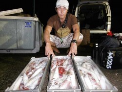 ハピネスⅡ 釣果