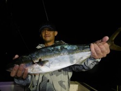 ハピネスⅡ 釣果