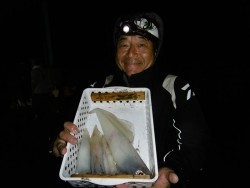 ハピネスⅡ 釣果